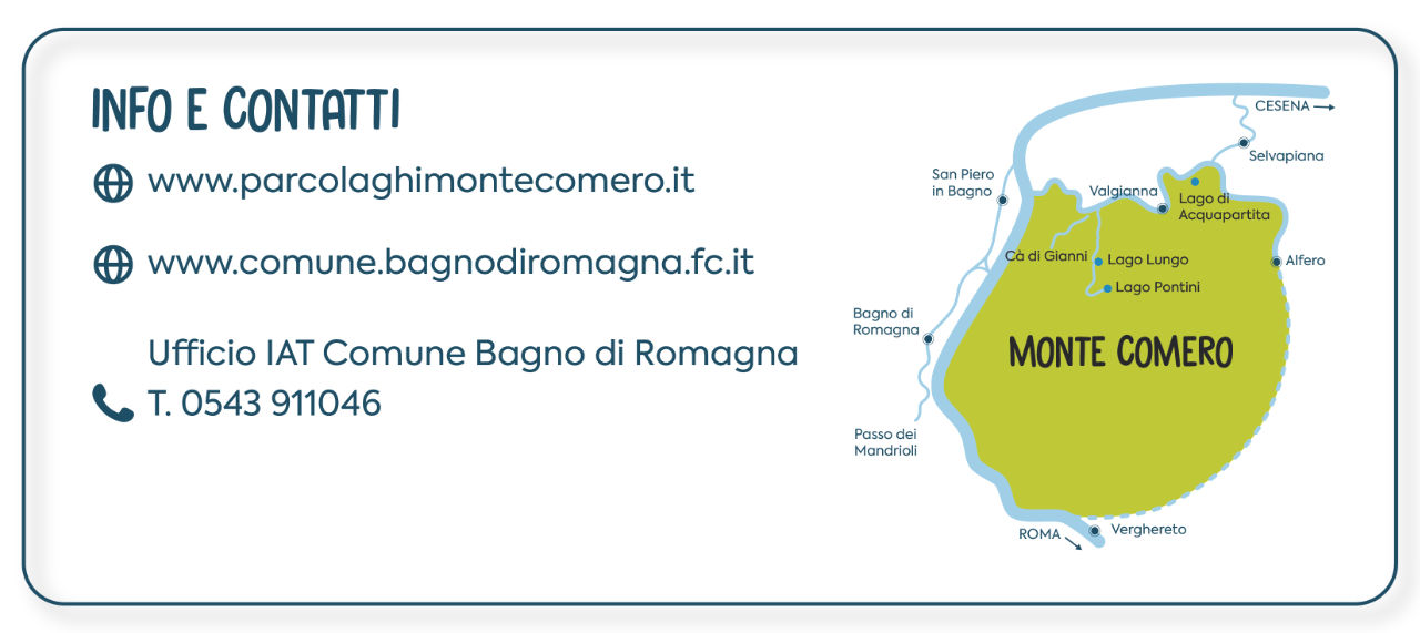 info