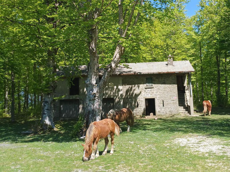 Parco Laghi Monte Comero