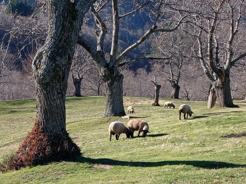 Parco Laghi Monte Comero