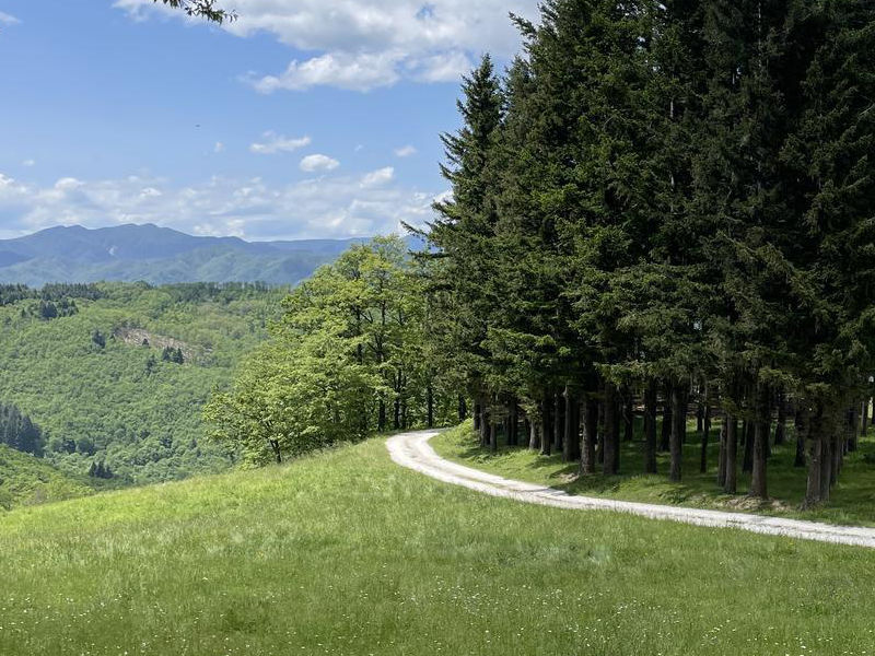 Escursionisti al parco